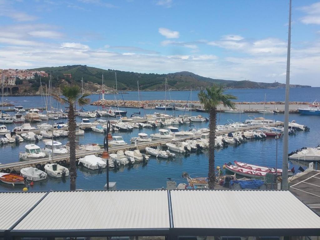 Résidence La Grande Voile Banyuls-sur-Mer Exterior foto